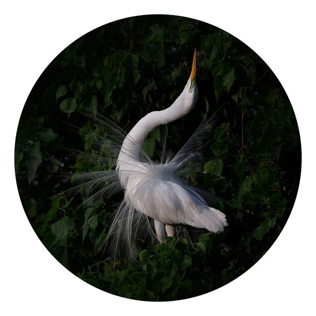 Self-adhesive round wallpaper - Dancing Egrets In Front Of Black