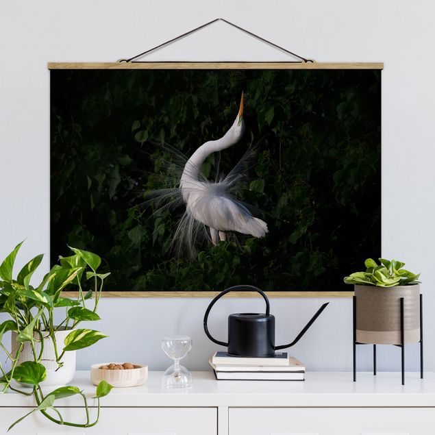 Fabric print with poster hangers - Dancing Egrets In Front Of Black - Landscape format 3:2