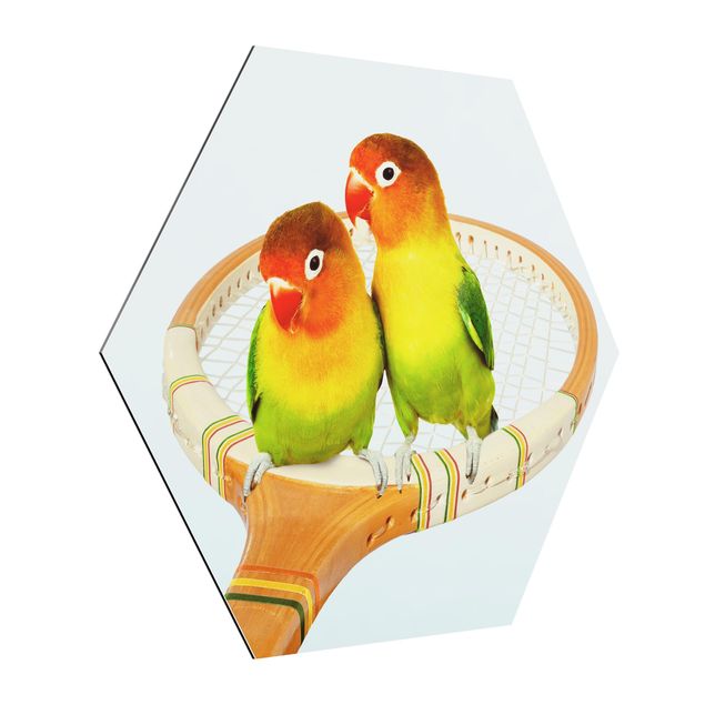 Alu-Dibond hexagon - Tennis With Birds