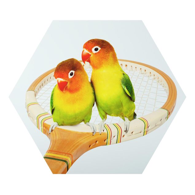 Alu-Dibond hexagon - Tennis With Birds