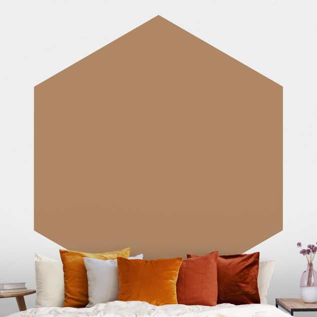 Hexagonal wallpapers Terracotta Taupe