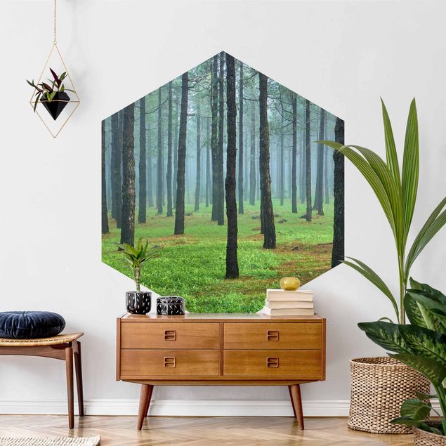 Self-adhesive hexagonal pattern wallpaper - Deep Forest With Pine Trees On La Palma