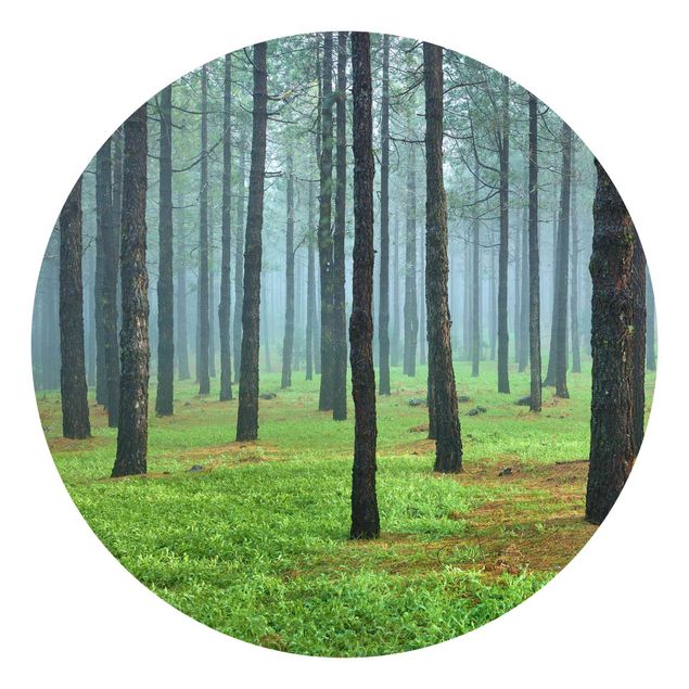 Self-adhesive round wallpaper forest - Deep Forest With Pine Trees On La Palma