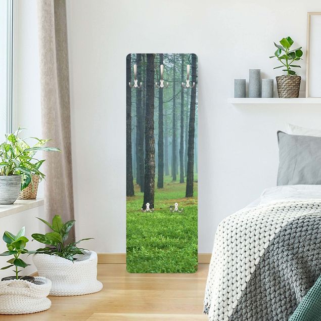 Coat rack - Deep Forest With Pine Trees On La Palma