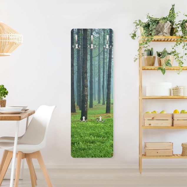 Coat rack - Deep Forest With Pine Trees On La Palma