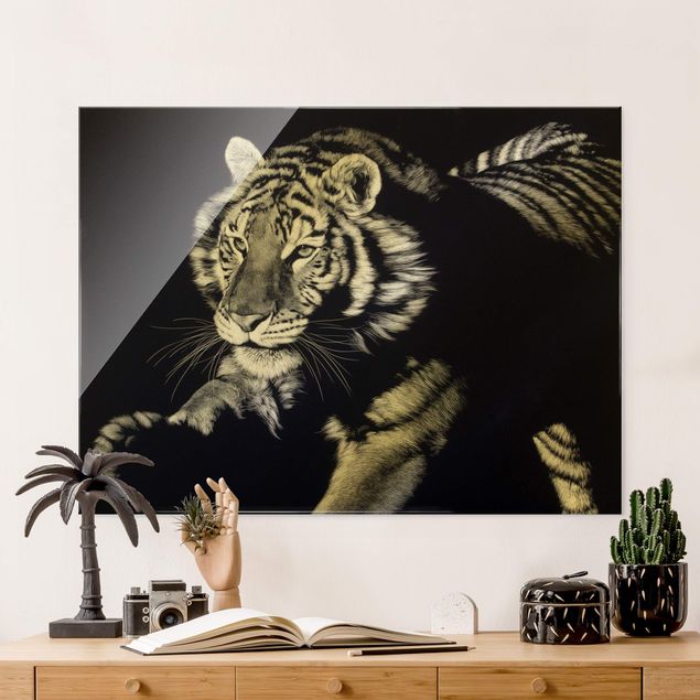 Glass print - Tiger In The Sunlight On Black - Landscape format