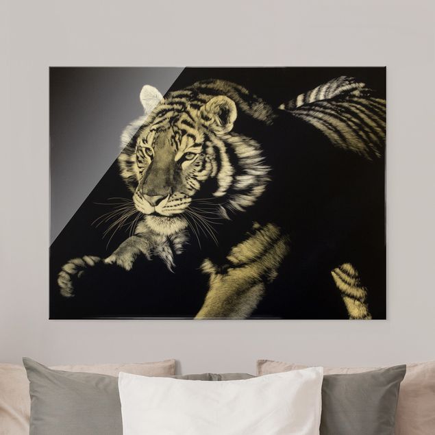 Glass print - Tiger In The Sunlight On Black - Landscape format
