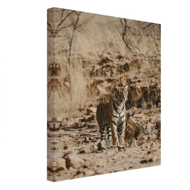 Canvas print gold - Tiger In The Wild