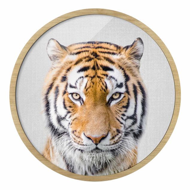 Circular framed print - Tiger Tiago