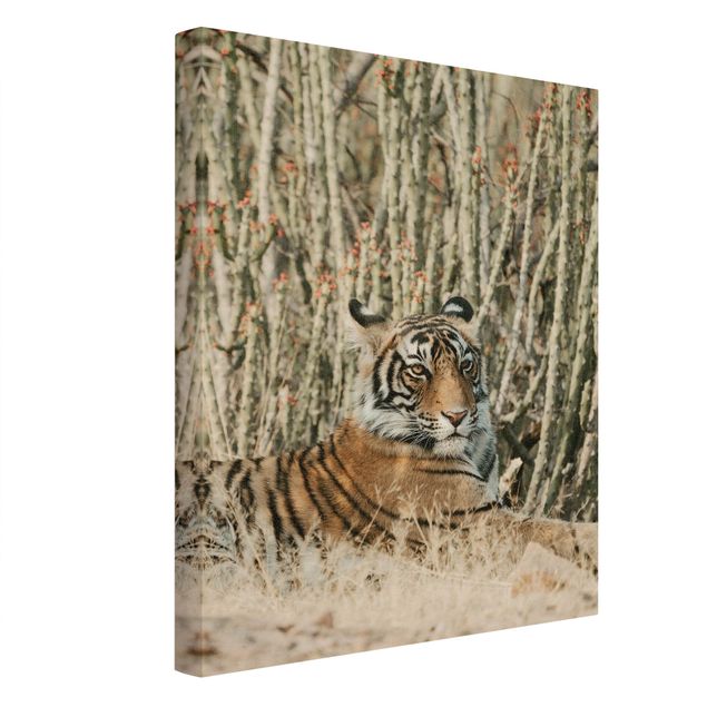Canvas print gold - Tiger With Cacti