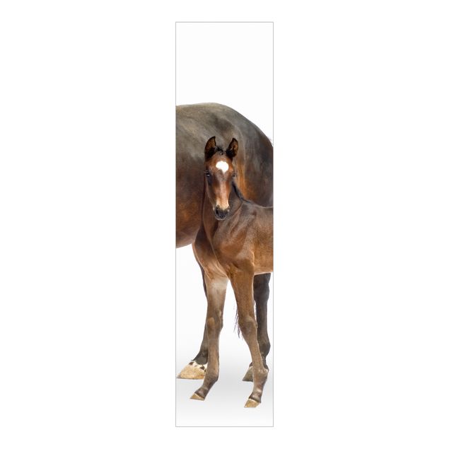 Sliding panel curtains set - Trakehner Mare & Foal