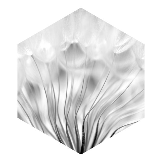 Self-adhesive hexagonal pattern wallpaper - Beautiful Dandelion Black And White