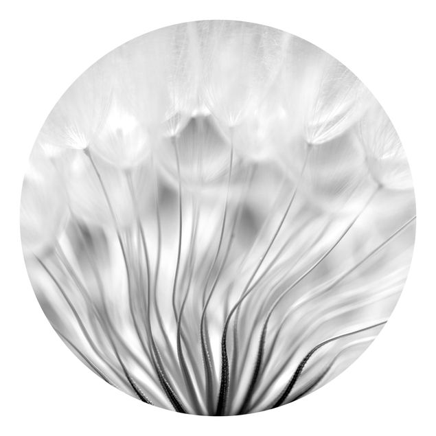 Self-adhesive round wallpaper - Beautiful Dandelion Black And White
