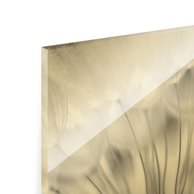 Glass print - Beautiful Dandelion Black And White - Landscape format
