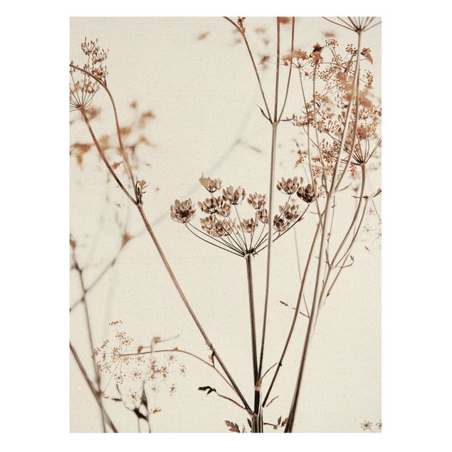 Canvas print gold - Dried Flower With Light And Shadows