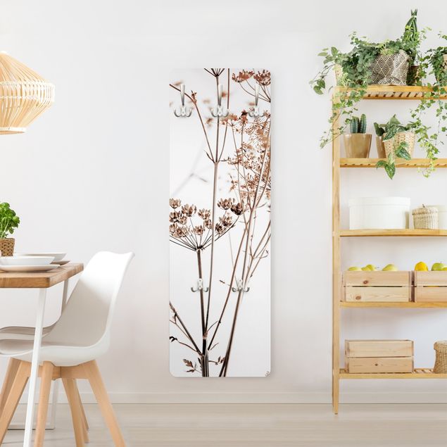 Coat rack modern - Dried Flower With Light And Shadows