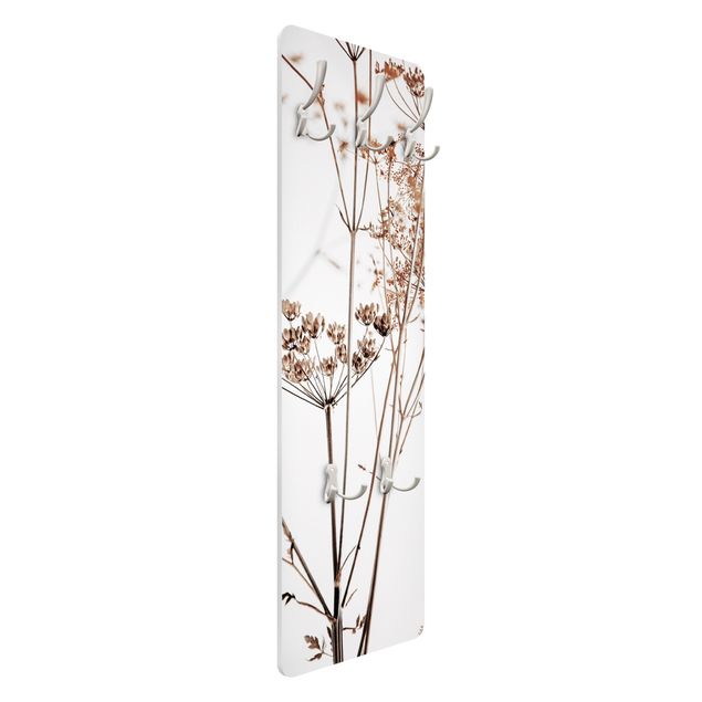 Coat rack modern - Dried Flower With Light And Shadows