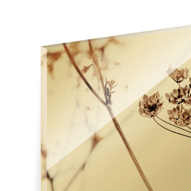 Glass print - Dried Flower With Light And Shadows