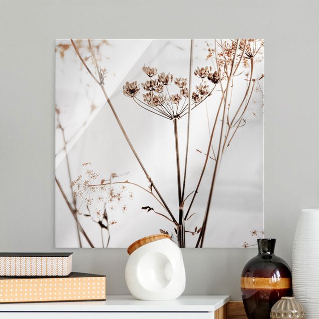 Glass print - Dried Flower With Light And Shadows
