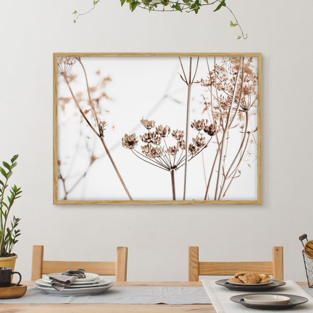 Framed poster - Dried Flower With Light And Shadows