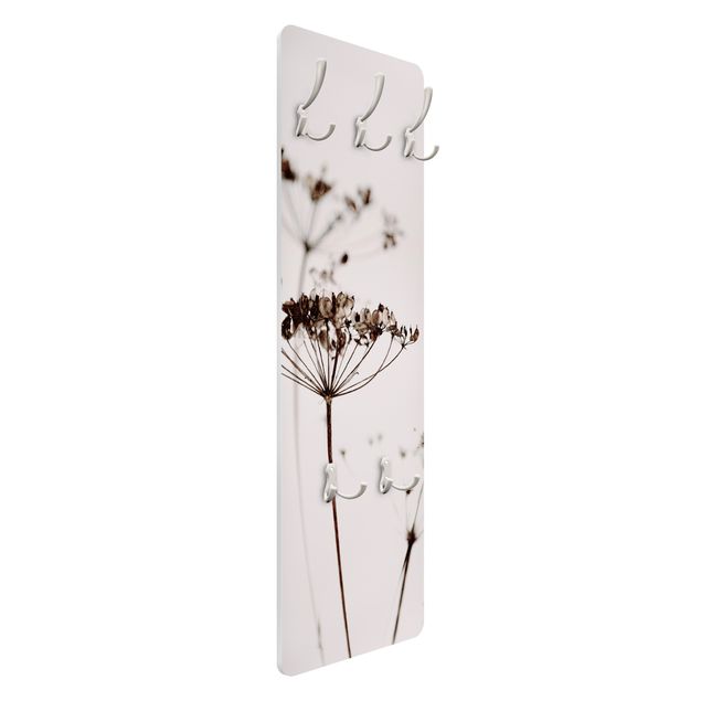 Coat rack modern - Dried Flower And Shadows