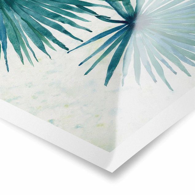 Poster - Tropicl Palm Leaves Close-up