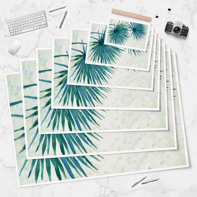 Poster - Tropicl Palm Leaves Close-up