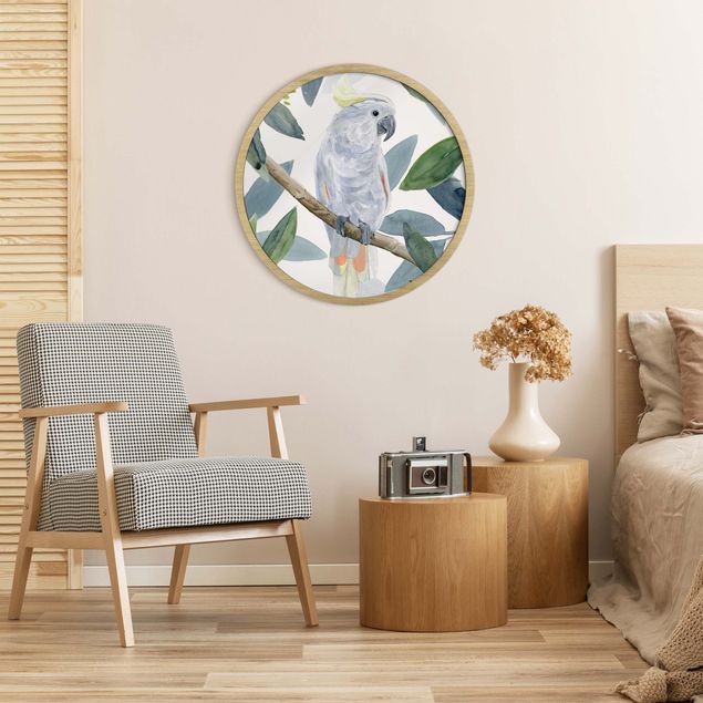 Circular framed print - Tropical Cockatoo II
