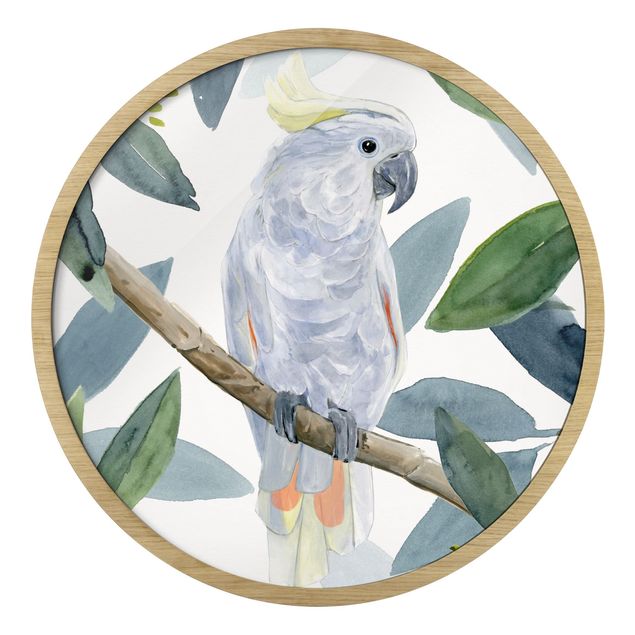 Circular framed print - Tropical Cockatoo II