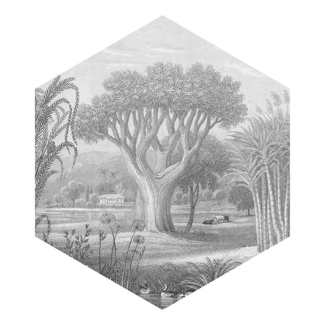Self-adhesive hexagonal wall mural - Tropical Copperplate Engraving Garden With Pond In Grey