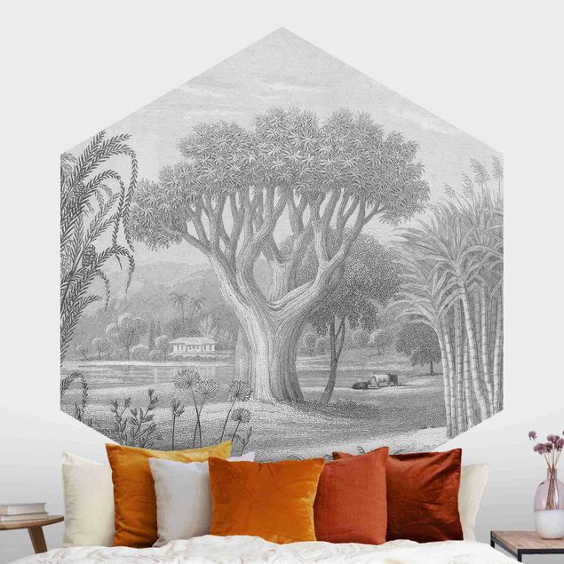 Self-adhesive hexagonal wall mural Tropical Copperplate Engraving Garden With Pond In Grey