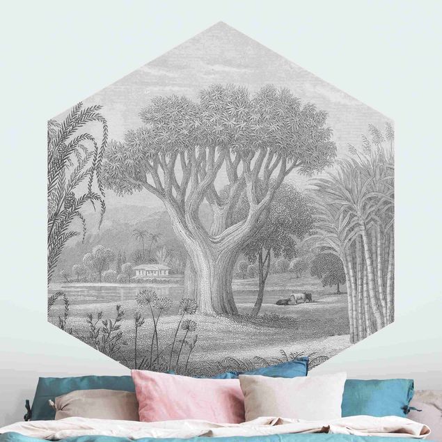 Wallpapers Tropical Copperplate Engraving Garden With Pond In Grey