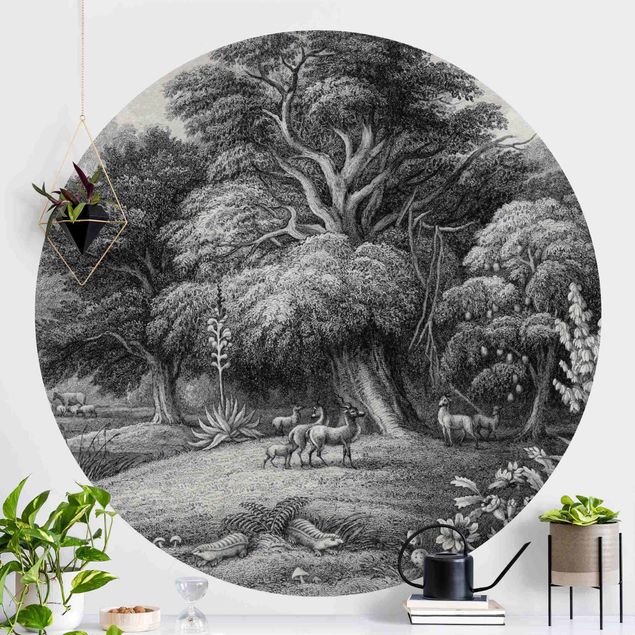 Wallpapers Tropical Copperplate Engraving In Warm Grey