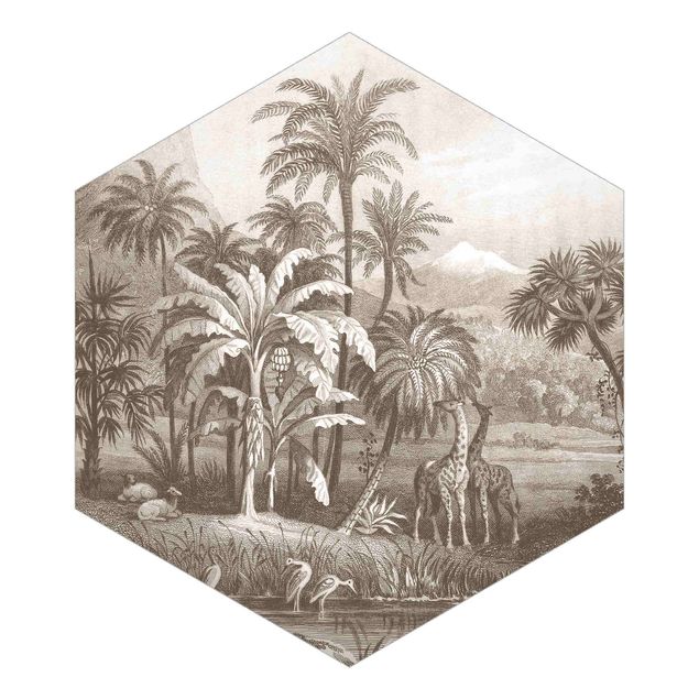 Self-adhesive hexagonal wall mural - Tropical Copperplate Engraving With Giraffes In Brown