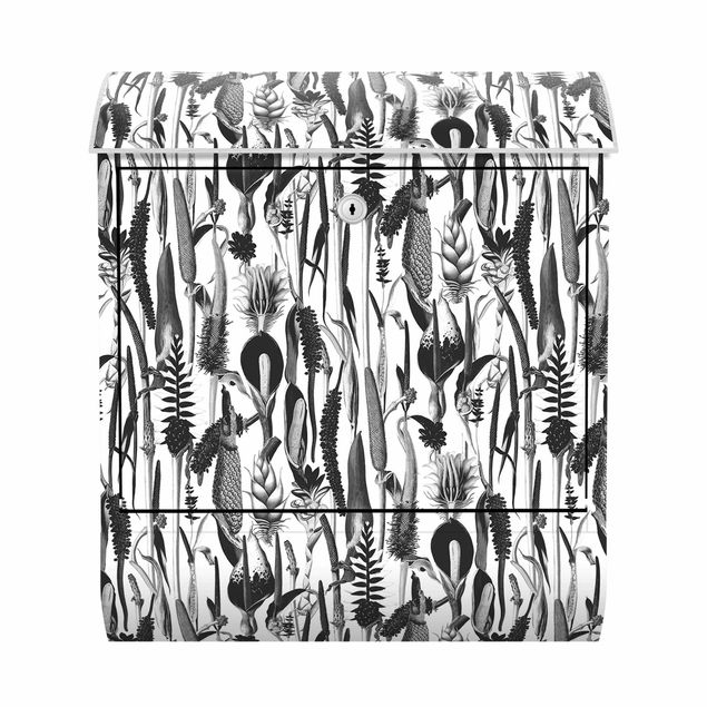 Letterbox - Tropical Luxury Pattern Black And White