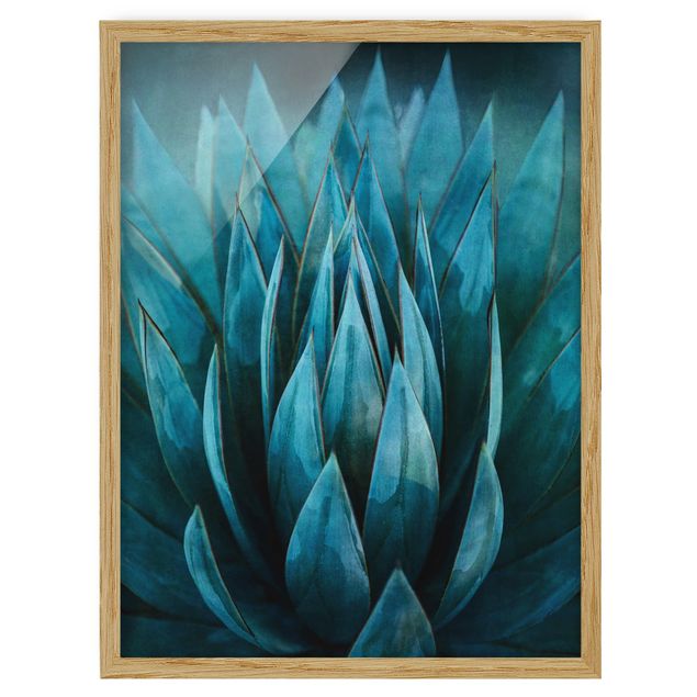 Framed poster - Turquoise Succulents