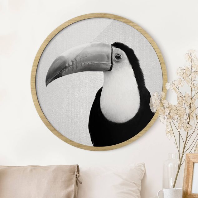 Framed prints round Toucan Torben Black And White