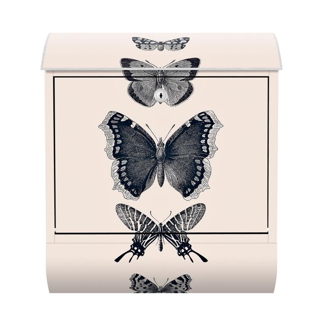 Letterbox - Ink Butterflies On Beige Backdrop