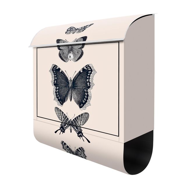 Letterbox - Ink Butterflies On Beige Backdrop