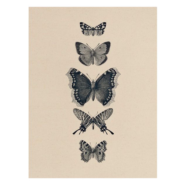 Canvas print gold - Ink Butterflies On Beige Backdrop