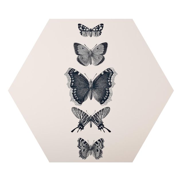 Alu-Dibond hexagon - Ink Butterflies On Beige Backdrop