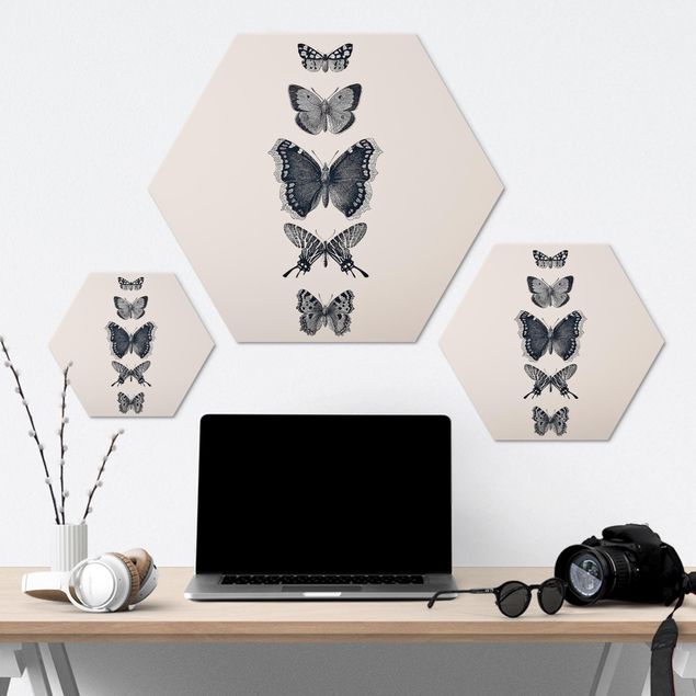 Alu-Dibond hexagon - Ink Butterflies On Beige Backdrop