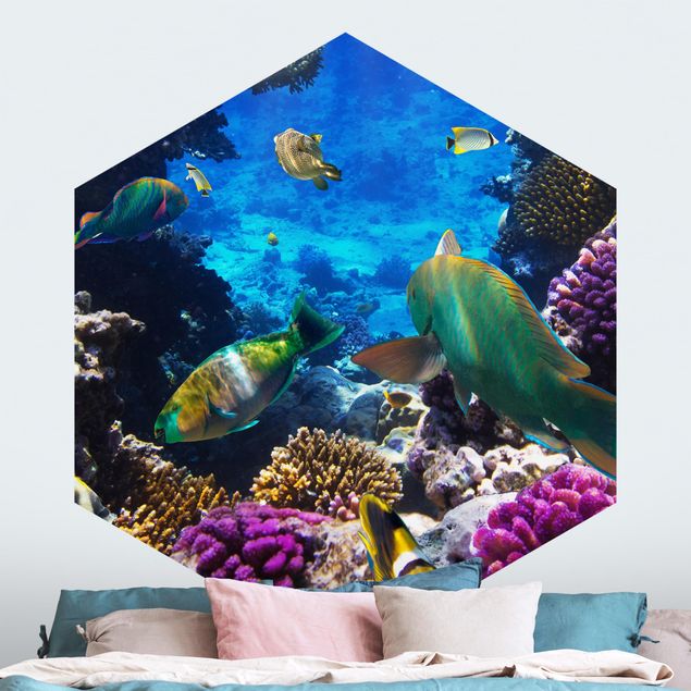 Wallpapers Underwater Dreams