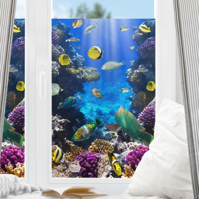 Window decoration - Underwater Dreams