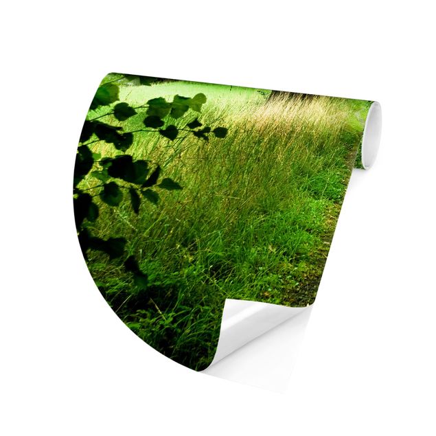 Self-adhesive round wallpaper forest - Hidden Clearing