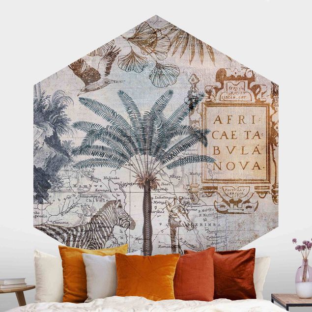 Hexagonal wall mural Vintage Collage Map Africa