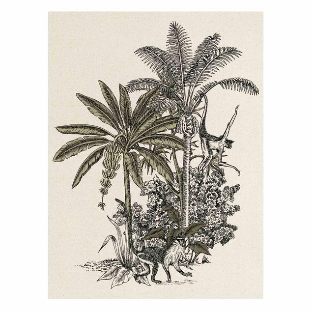 Canvas print gold - Vintage Illustration - Monkeys  And Palm Trees