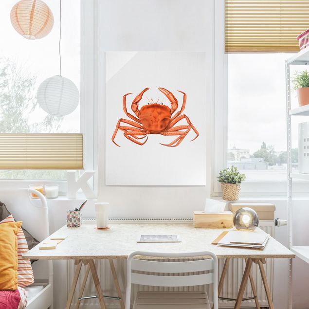 Glass print - Vintage Illustration Red Crab