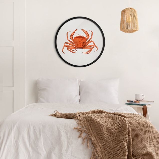Circular framed print - Vintage Illustration Red Crab