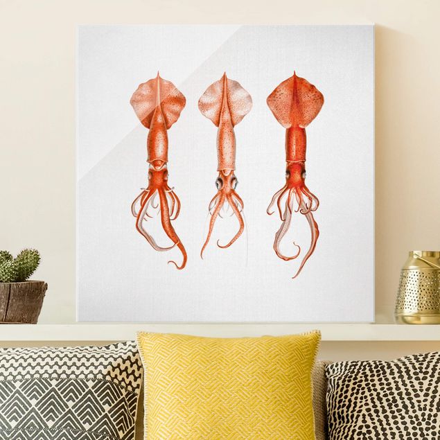 Glas Magnetboard Vintage Illustration Red Squid